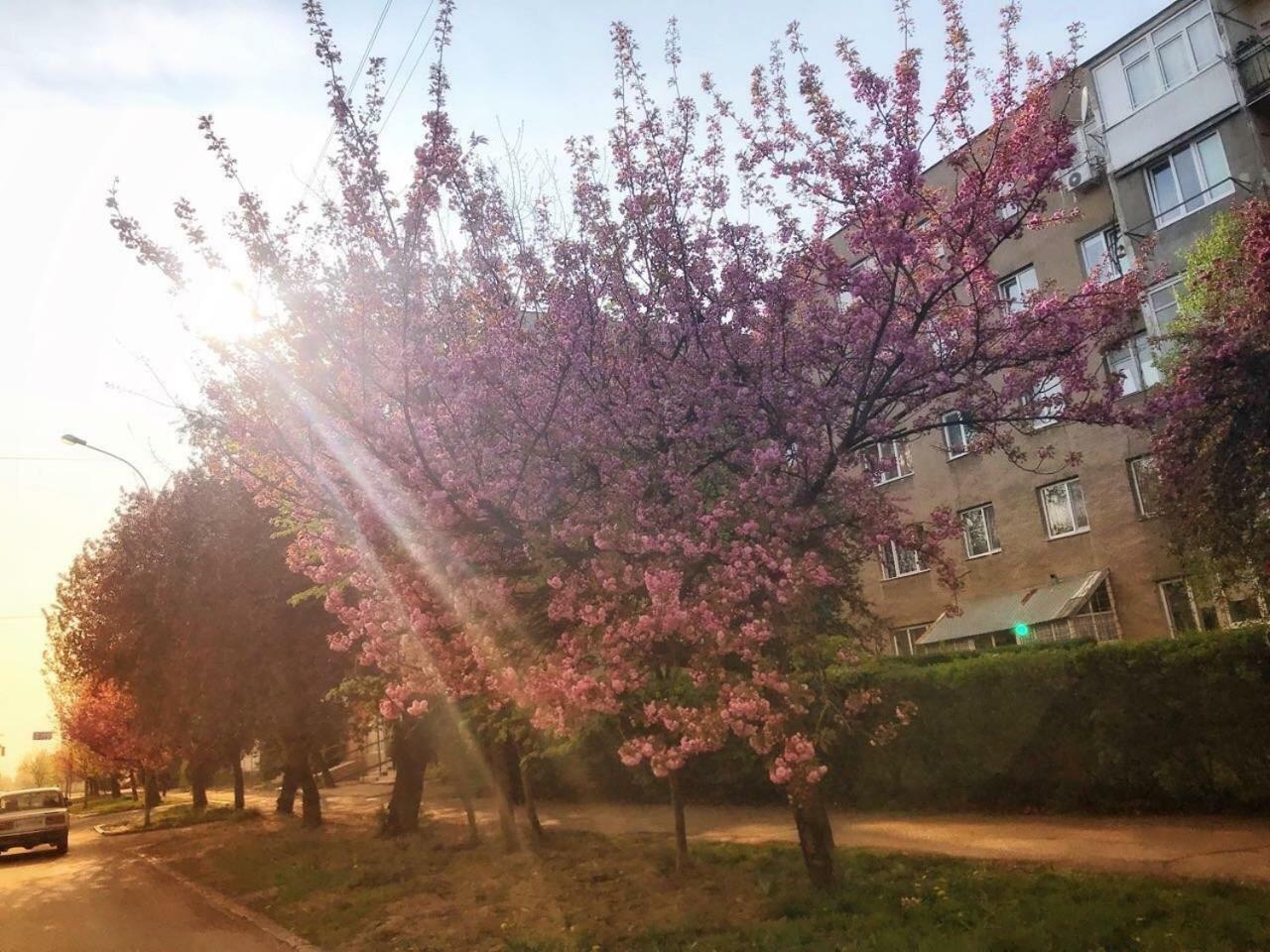 Сучасна Квартира В Центрі Міста Uschhorod Exterior foto